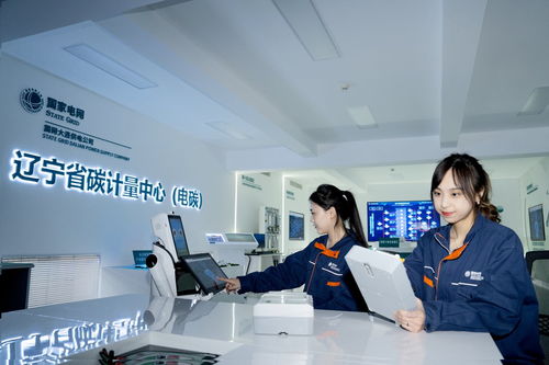 国网大连供电公司 全力服务用能转型 助推产业向绿升级 赋能零碳未来